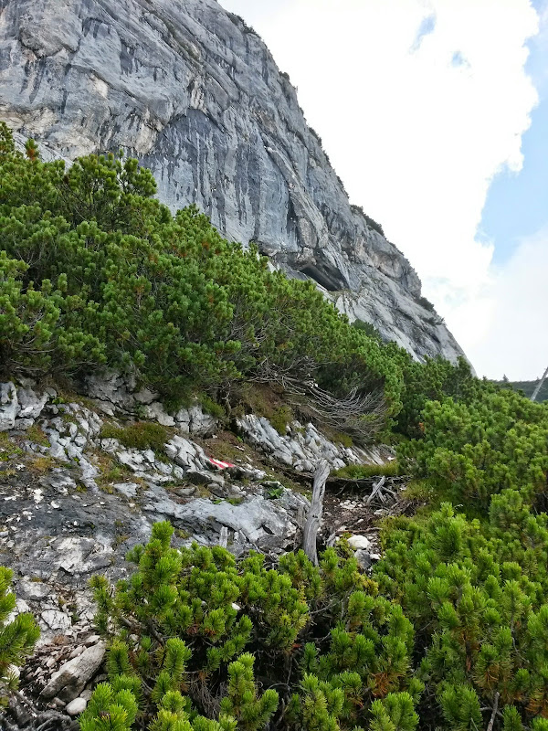 lh5.googleusercontent.com_-bhg5kdttaco_vaxe2x4itsi_aaaaaaaacl0_4nuppfrlqee_w600-h800-no_20140907_102754_richtone_28hdr_29.jpg lh5.googleusercontent.com_-bhg5kdttaco_vaxe2x4itsi_aaaaaaaacl0_4nuppfrlqee_w600-h800-no_20140907_102754_richtone_28hdr_29.jpg