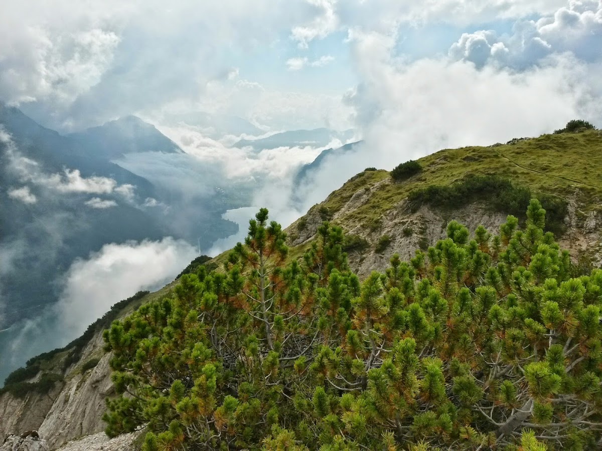 lh4.googleusercontent.com_-k0ux27xd6he_var_uzljxji_aaaaaaaacd0_teihgzccp9e_w1200-h900-no_20140906_110644_richtone_28hdr_29.jpg lh4.googleusercontent.com_-k0ux27xd6he_var_uzljxji_aaaaaaaacd0_teihgzccp9e_w1200-h900-no_20140906_110644_richtone_28hdr_29.jpg