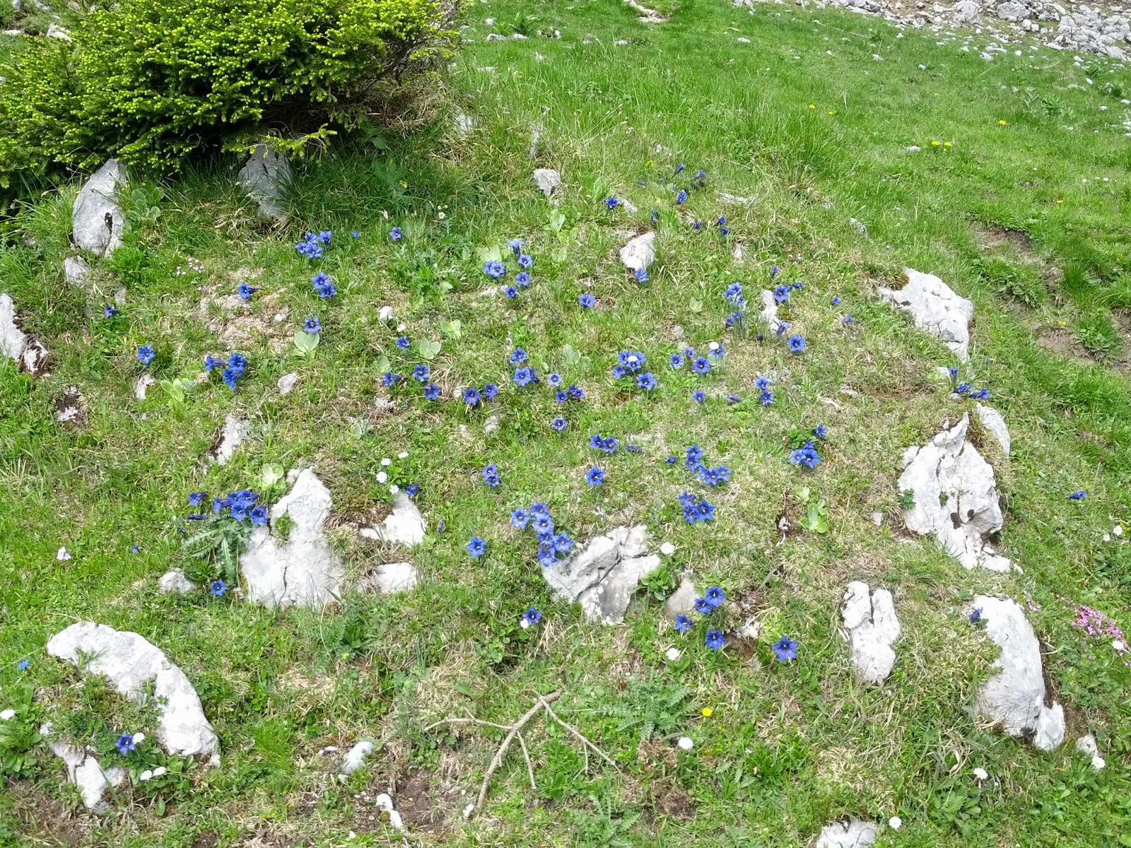 lh3.googleusercontent.com_-la_wfdmnyzm_ubx7hvi_zii_aaaaaaaansc_pfuz5stnhpw_w1600-h1200-no_img_20130615_104831.jpg lh3.googleusercontent.com_-la_wfdmnyzm_ubx7hvi_zii_aaaaaaaansc_pfuz5stnhpw_w1600-h1200-no_img_20130615_104831.jpg