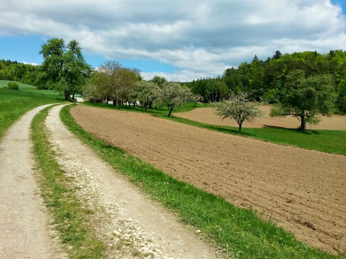 lh3.googleusercontent.com_--3z0mz6zhlk_u2zr4khb6bi_aaaaaaaaxdk_wfgrw8o8ta4_w1155-h866-no_20140504_130744_richtone_2528hdr_2529.jpg lh3.googleusercontent.com_--3z0mz6zhlk_u2zr4khb6bi_aaaaaaaaxdk_wfgrw8o8ta4_w1155-h866-no_20140504_130744_richtone_2528hdr_2529.jpg