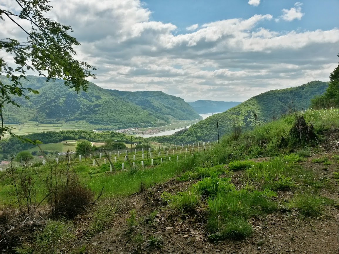 lh5.googleusercontent.com_-fatw_-quhew_u2zrzoupgbi_aaaaaaaaxdk_ax7fyvflqgy_w1155-h866-no_20140504_121544_richtone_2528hdr_2529.jpg lh5.googleusercontent.com_-fatw_-quhew_u2zrzoupgbi_aaaaaaaaxdk_ax7fyvflqgy_w1155-h866-no_20140504_121544_richtone_2528hdr_2529.jpg