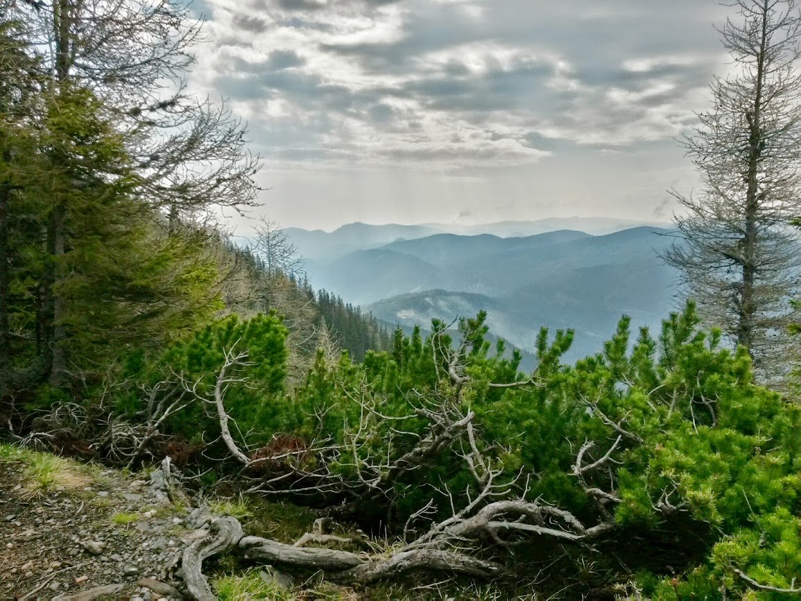 lh3.googleusercontent.com_-qyg40gxw_do_u2i99e1wygi_aaaaaaaaxoc_hctofyedhmq_w1155-h866-no_20140501_092352_richtone_2528hdr_2529.jpg lh3.googleusercontent.com_-qyg40gxw_do_u2i99e1wygi_aaaaaaaaxoc_hctofyedhmq_w1155-h866-no_20140501_092352_richtone_2528hdr_2529.jpg