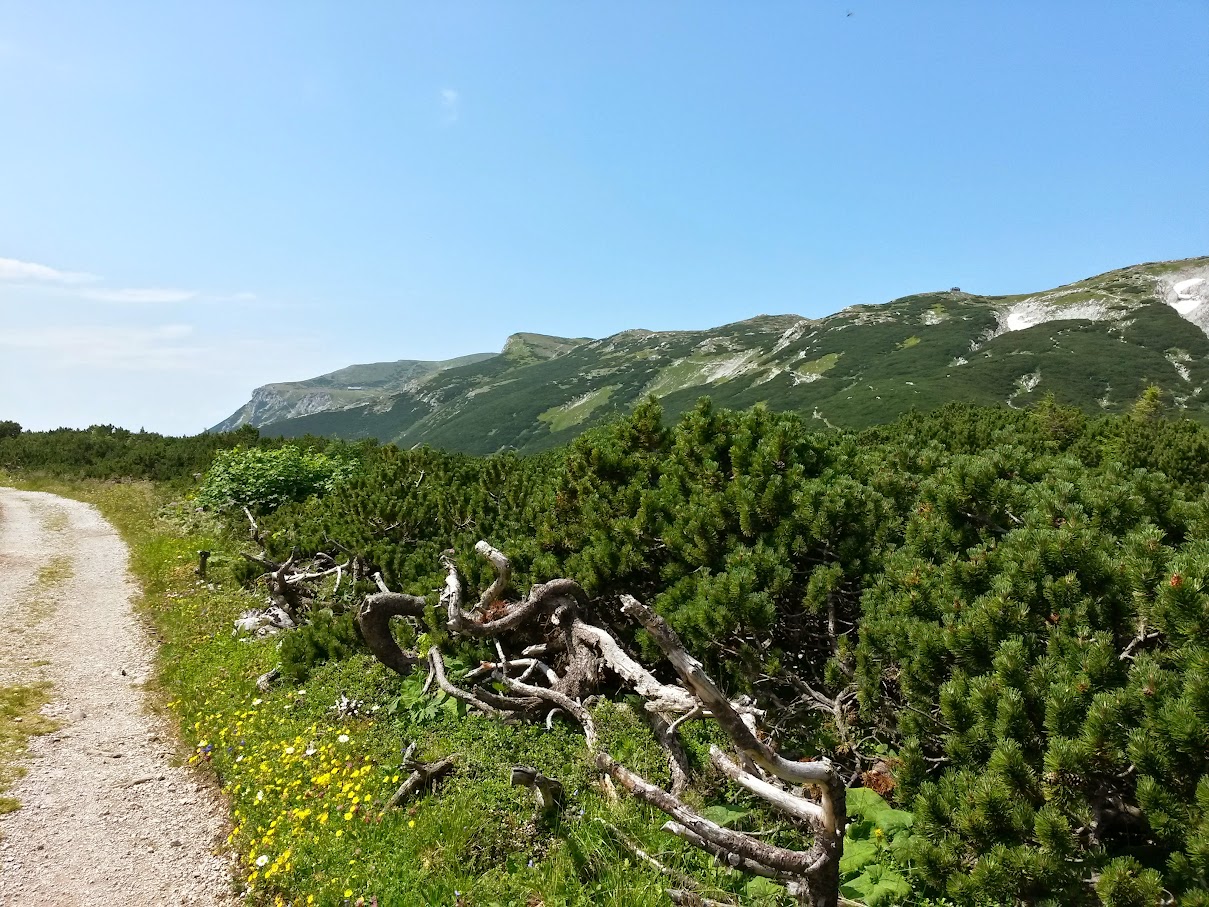 lh4.googleusercontent.com_-pfmfj4x32w4_vaqcdrwcodi_aaaaaaaamvi_g9thbissqm0_w1209-h907-no_20150718_120316_richtone_2528hdr_2529.jpg lh4.googleusercontent.com_-pfmfj4x32w4_vaqcdrwcodi_aaaaaaaamvi_g9thbissqm0_w1209-h907-no_20150718_120316_richtone_2528hdr_2529.jpg