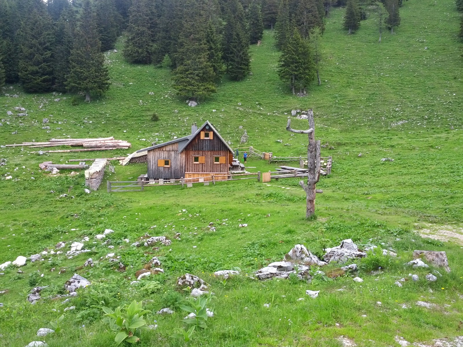 lh3.googleusercontent.com_-gb_r8tqohme_ubx3dxmxjvi_aaaaaaaannw_odemx-l10ki_w1600-h1200-no_img_20130615_085727.jpg lh3.googleusercontent.com_-gb_r8tqohme_ubx3dxmxjvi_aaaaaaaannw_odemx-l10ki_w1600-h1200-no_img_20130615_085727.jpg