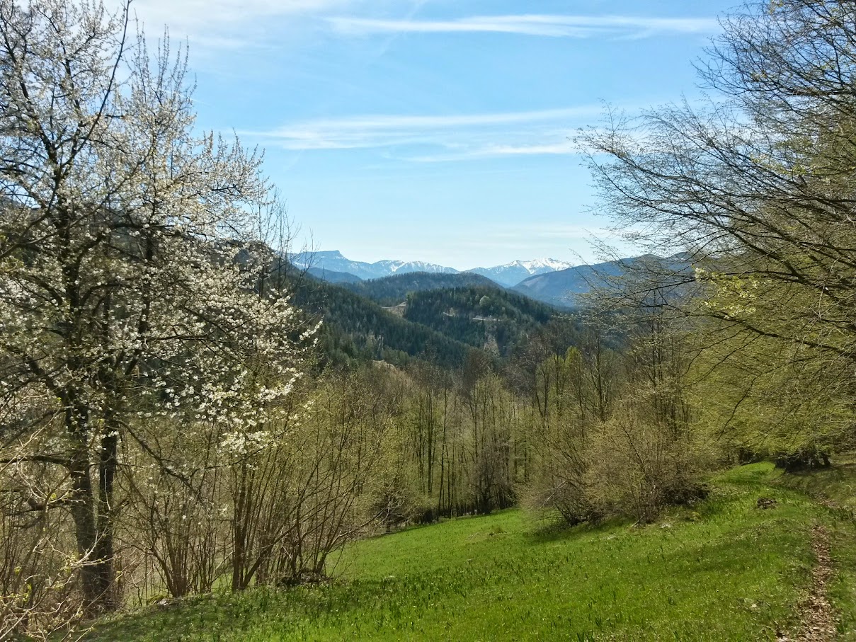 lh6.googleusercontent.com_-d-llm2c8j_y_vtul-k9ysai_aaaaaaaair4_7rlrqorwqom_w1209-h907-no_20150425_140011_richtone_28hdr_29.jpg lh6.googleusercontent.com_-d-llm2c8j_y_vtul-k9ysai_aaaaaaaair4_7rlrqorwqom_w1209-h907-no_20150425_140011_richtone_28hdr_29.jpg