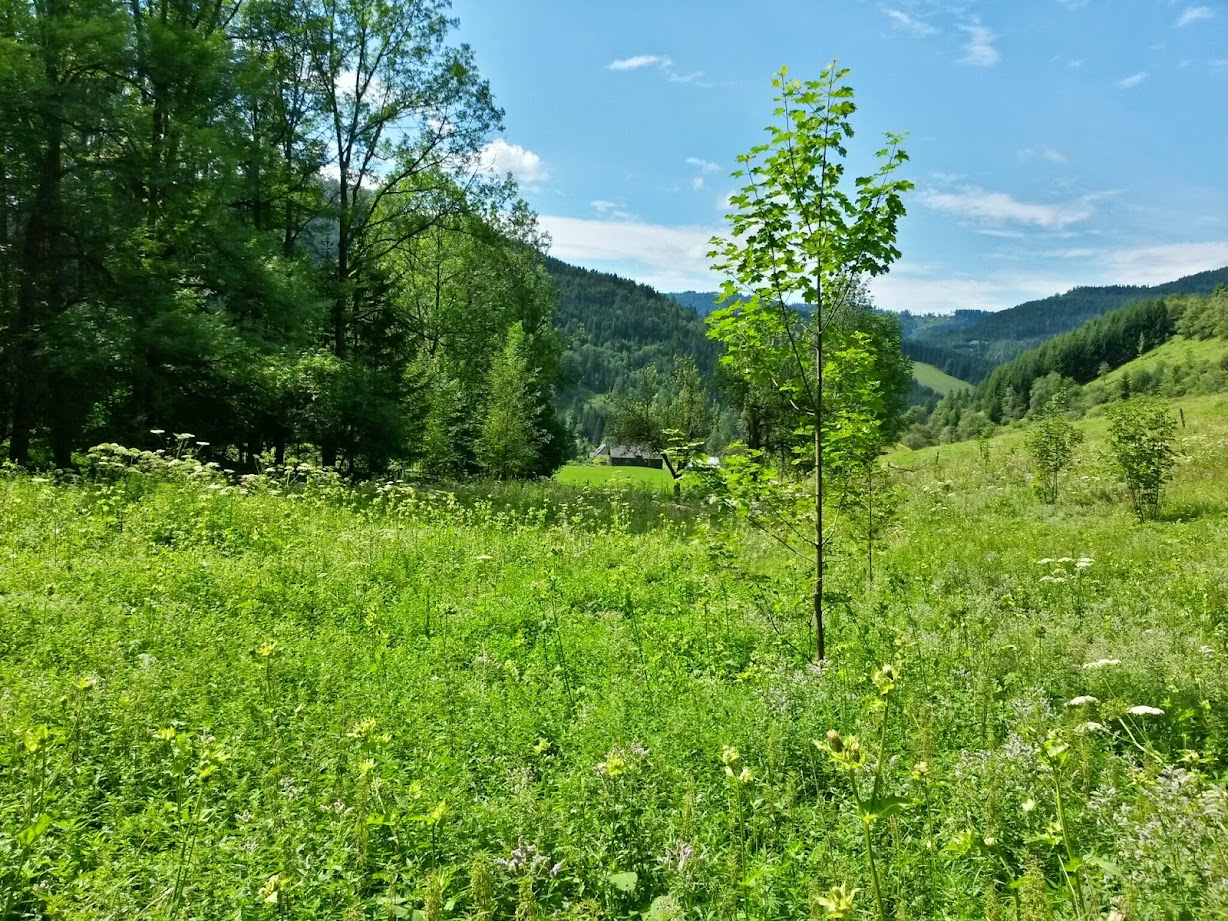 lh6.googleusercontent.com_-kkzwwpmk3r0_u-zwkgcz0ki_aaaaaaaab3o_oc8ulo75b4y_w1228-h921-no_20140809_145954_richtone_28hdr_29.jpg lh6.googleusercontent.com_-kkzwwpmk3r0_u-zwkgcz0ki_aaaaaaaab3o_oc8ulo75b4y_w1228-h921-no_20140809_145954_richtone_28hdr_29.jpg