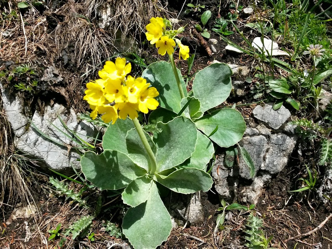 lh3.googleusercontent.com_-hf0-jrabpj0_u4nqpdgudgi_aaaaaaaayls_gpiuuigmffw_w1155-h866-no_20140531_110234_richtone_2528hdr_2529.jpg lh3.googleusercontent.com_-hf0-jrabpj0_u4nqpdgudgi_aaaaaaaayls_gpiuuigmffw_w1155-h866-no_20140531_110234_richtone_2528hdr_2529.jpg