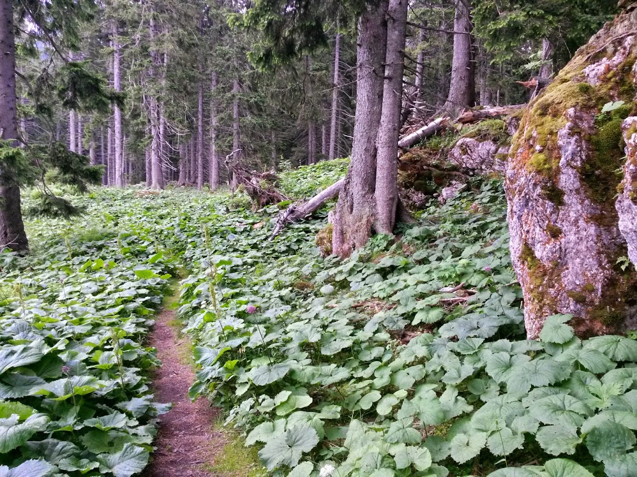 lh6.googleusercontent.com_--tghf3_xo34_u7f9yw2v5yi_aaaaaaaabaa_mijceared6q_w1239-h929-no_20140705_113618_richtone_2528hdr_2529.jpg lh6.googleusercontent.com_--tghf3_xo34_u7f9yw2v5yi_aaaaaaaabaa_mijceared6q_w1239-h929-no_20140705_113618_richtone_2528hdr_2529.jpg