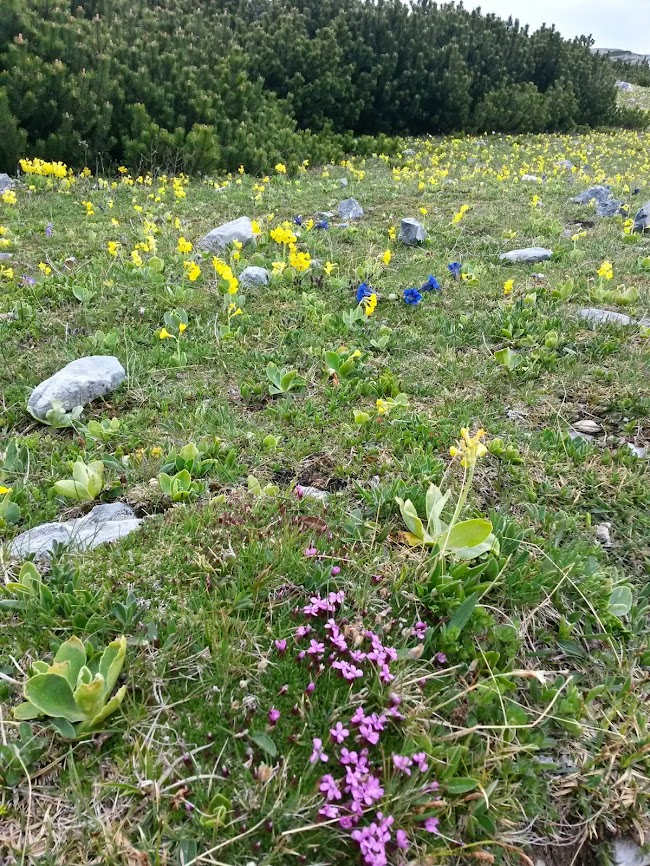 lh6.googleusercontent.com_-uukzeyp7ofm_u4hjvh4krgi_aaaaaaaayza_y23u27rljfq_w650-h866-no_20140525_110501_richtone_2528hdr_2529.jpg lh6.googleusercontent.com_-uukzeyp7ofm_u4hjvh4krgi_aaaaaaaayza_y23u27rljfq_w650-h866-no_20140525_110501_richtone_2528hdr_2529.jpg