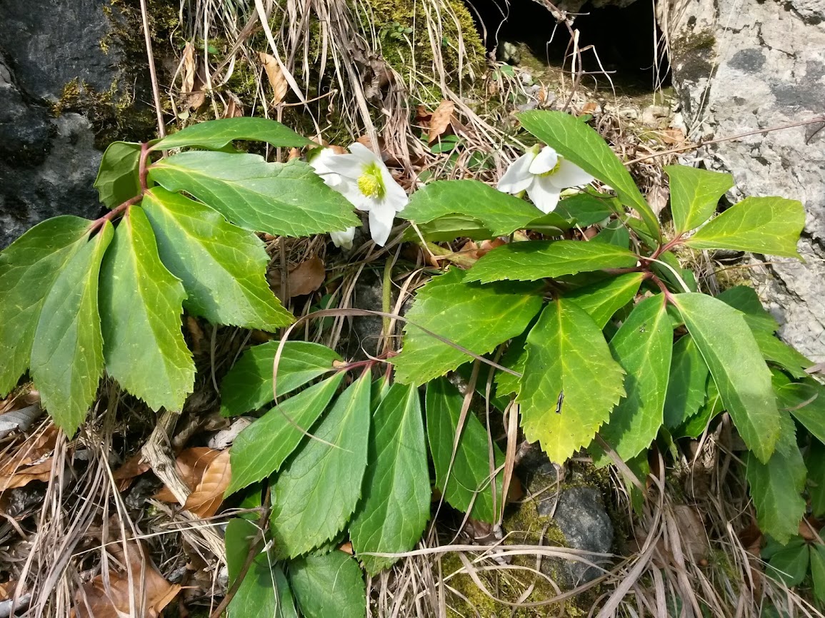 lh5.googleusercontent.com_-bi64jnozrxk_utfakrnlv1i_aaaaaaaauki_lzdpkxnhsck_w1155-h866-no_20140111_122622_richtone_2528hdr_2529.jpg lh5.googleusercontent.com_-bi64jnozrxk_utfakrnlv1i_aaaaaaaauki_lzdpkxnhsck_w1155-h866-no_20140111_122622_richtone_2528hdr_2529.jpg