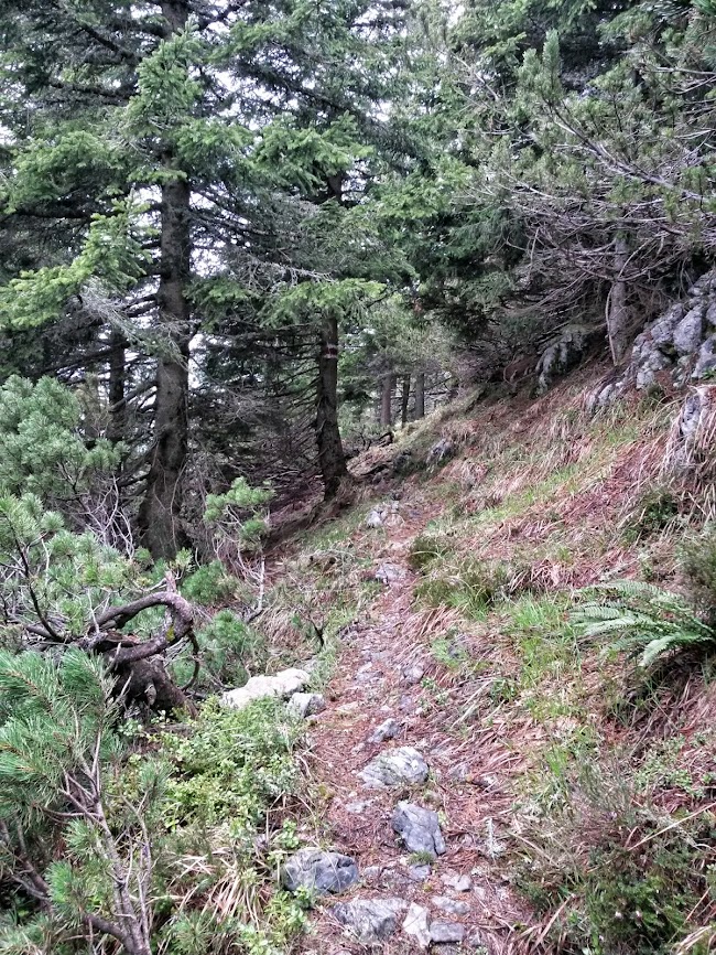 lh3.googleusercontent.com_-wl50xtvqjee_u2i90a4zcei_aaaaaaaaxns_k_wl1yxi8y_w650-h866-no_20140501_091520_richtone_2528hdr_2529.jpg lh3.googleusercontent.com_-wl50xtvqjee_u2i90a4zcei_aaaaaaaaxns_k_wl1yxi8y_w650-h866-no_20140501_091520_richtone_2528hdr_2529.jpg