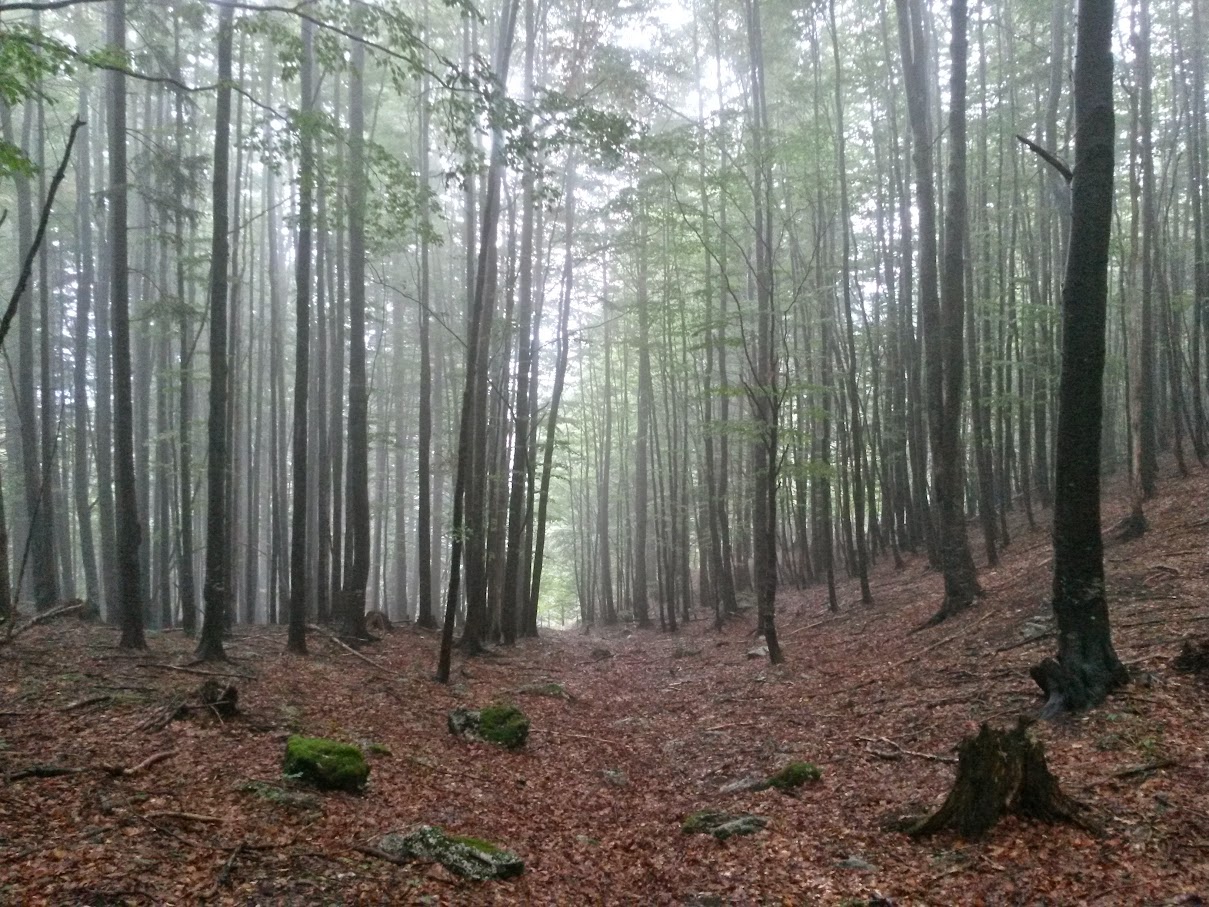 lh6.googleusercontent.com_-f50b9vwecou_vgax6cz5n6i_aaaaaaaaoc0_ig-7a3c8ooc_w1209-h907-no_20150926_125431_richtone_2528hdr_2529.jpg lh6.googleusercontent.com_-f50b9vwecou_vgax6cz5n6i_aaaaaaaaoc0_ig-7a3c8ooc_w1209-h907-no_20150926_125431_richtone_2528hdr_2529.jpg