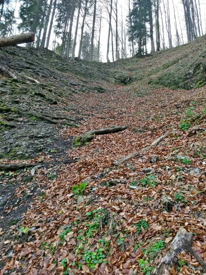 lh6.googleusercontent.com_-ewtfs533vcw_vgdsrcab5ii_aaaaaaaae50_ggm0mnuac9k_w691-h921-no_20141115_111041_richtone_28hdr_29.jpg lh6.googleusercontent.com_-ewtfs533vcw_vgdsrcab5ii_aaaaaaaae50_ggm0mnuac9k_w691-h921-no_20141115_111041_richtone_28hdr_29.jpg