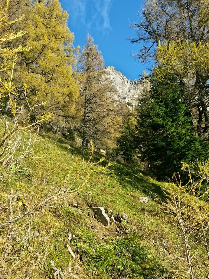 lh3.googleusercontent.com_-qoa-ohiqnk0_vfuxophs4zi_aaaaaaaaelk_s7cqznm_14s_w691-h921-no_20141101_133000_richtone_28hdr_29.jpg lh3.googleusercontent.com_-qoa-ohiqnk0_vfuxophs4zi_aaaaaaaaelk_s7cqznm_14s_w691-h921-no_20141101_133000_richtone_28hdr_29.jpg