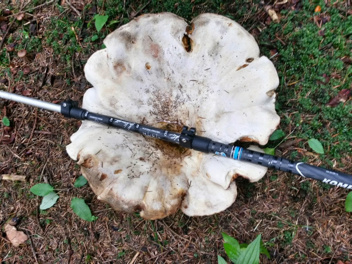 lh5.googleusercontent.com_-bl6vszr8wmi_vb2ypoaztyi_aaaaaaaadpo_aule9jeli5a_w1228-h921-no_20140920_130021_richtone_28hdr_29.jpg lh5.googleusercontent.com_-bl6vszr8wmi_vb2ypoaztyi_aaaaaaaadpo_aule9jeli5a_w1228-h921-no_20140920_130021_richtone_28hdr_29.jpg