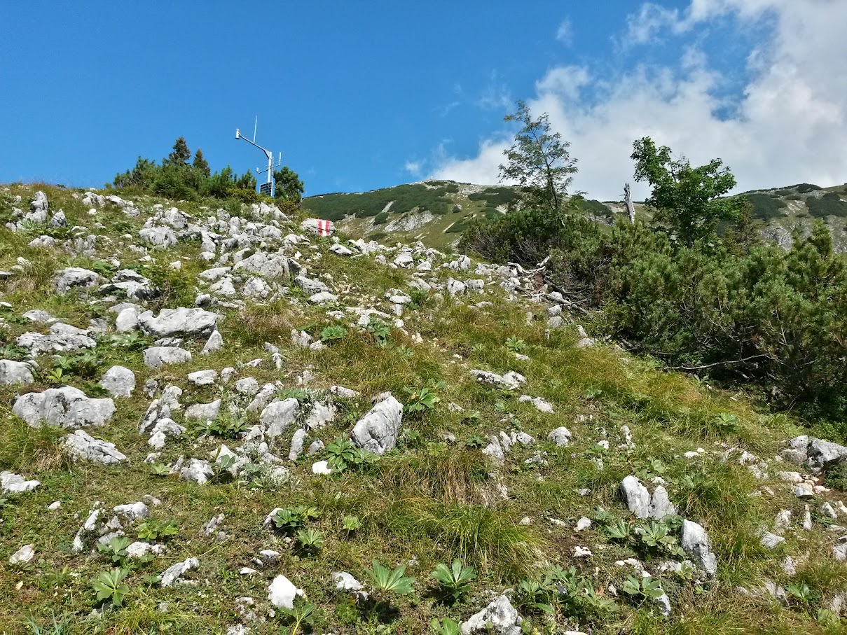 lh4.googleusercontent.com_-gao6ytuys28_vdjx_5wpoyi_aaaaaaaanqa_f6awpvyeuxe_w1209-h907-no_20150822_103308_richtone_2528hdr_2529.jpg lh4.googleusercontent.com_-gao6ytuys28_vdjx_5wpoyi_aaaaaaaanqa_f6awpvyeuxe_w1209-h907-no_20150822_103308_richtone_2528hdr_2529.jpg