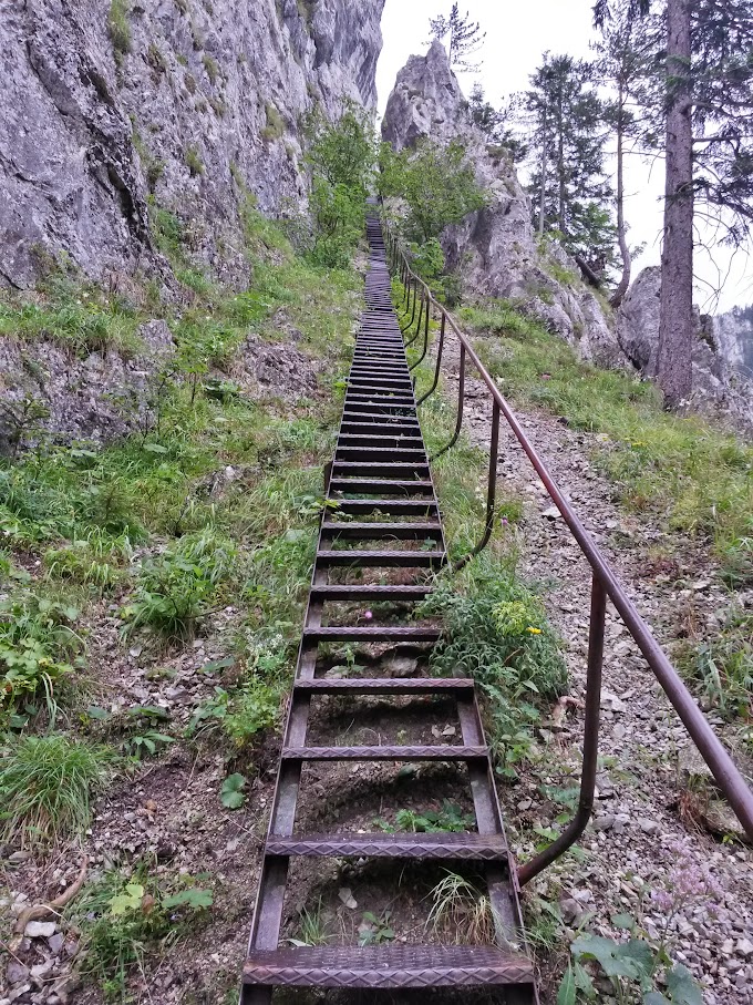 lh4.googleusercontent.com_-fcbtorcuyio_vaqb3ppzdui_aaaaaaaamue_096pib5zn54_w680-h907-no_20150718_073636_richtone_2528hdr_2529.jpg lh4.googleusercontent.com_-fcbtorcuyio_vaqb3ppzdui_aaaaaaaamue_096pib5zn54_w680-h907-no_20150718_073636_richtone_2528hdr_2529.jpg