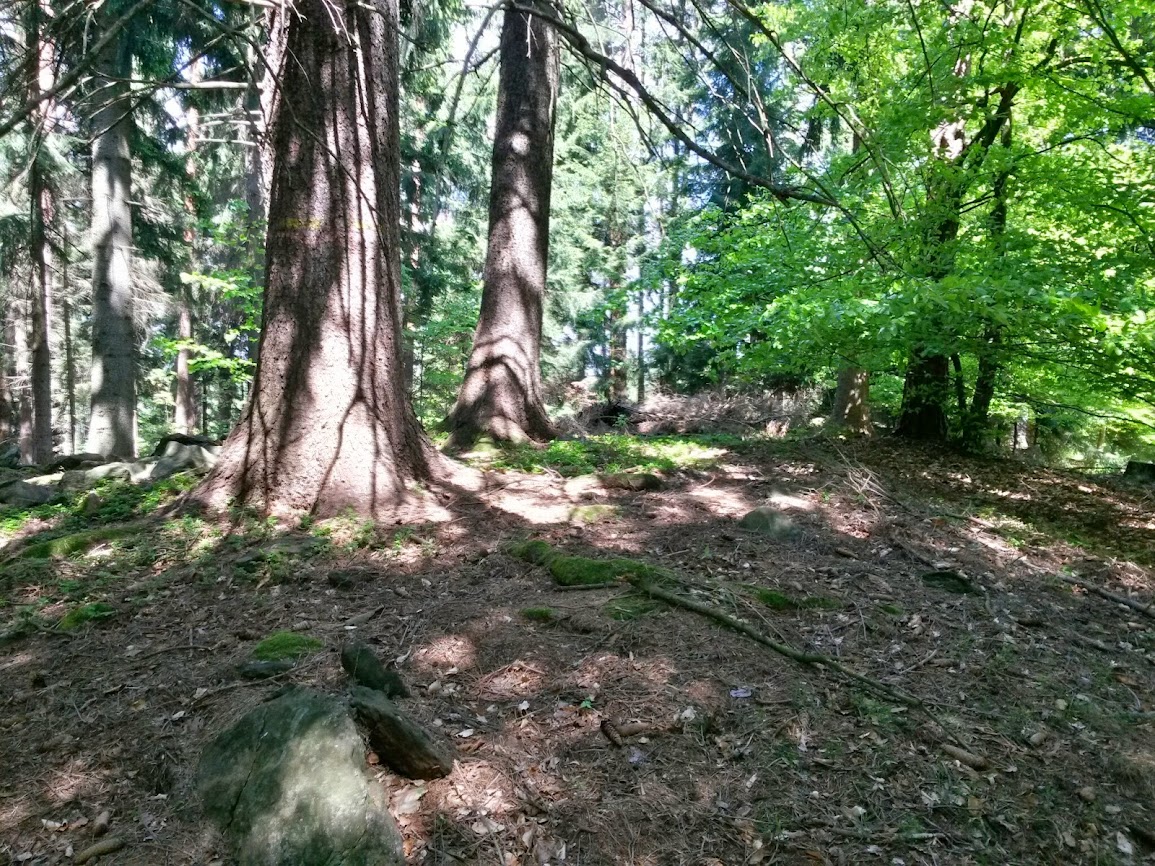 lh3.googleusercontent.com_-0laisa0lbiy_u2zsduzpgbi_aaaaaaaaxdk_ckcfjxo520_w1155-h866-no_20140504_135333_richtone_2528hdr_2529.jpg lh3.googleusercontent.com_-0laisa0lbiy_u2zsduzpgbi_aaaaaaaaxdk_ckcfjxo520_w1155-h866-no_20140504_135333_richtone_2528hdr_2529.jpg