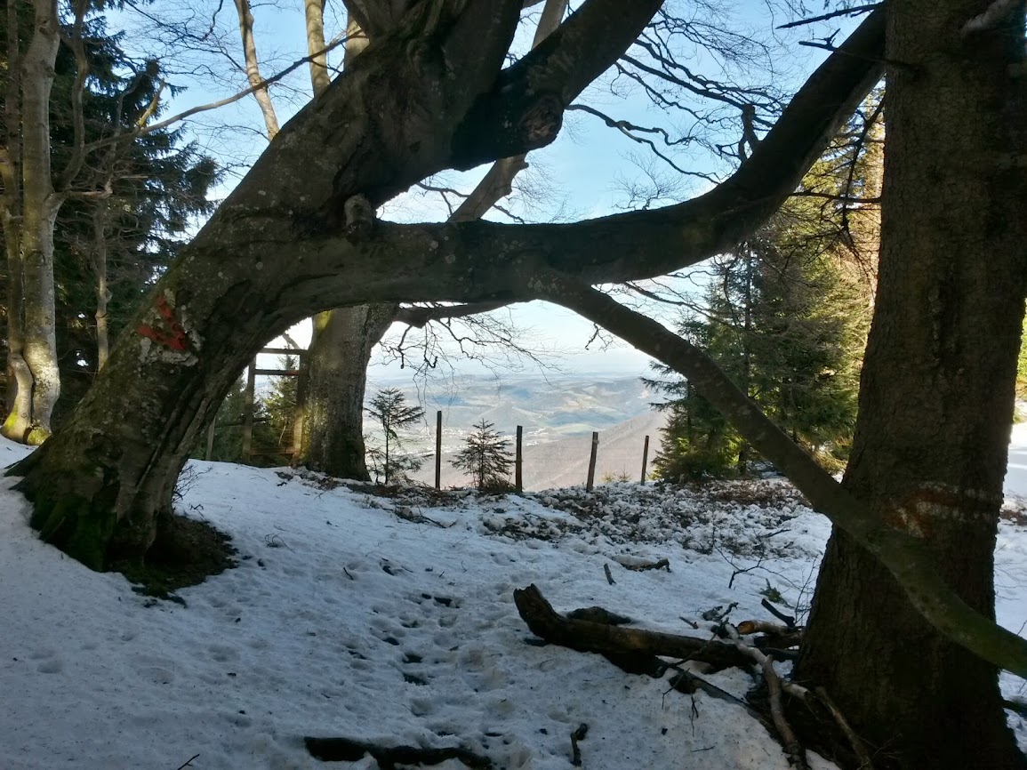 lh4.googleusercontent.com_-en60gyteoew_uvzlpalsf0i_aaaaaaaavhs_htfknnuvrcw_w1155-h866-no_20140208_130150_richtone_2528hdr_2529.jpg lh4.googleusercontent.com_-en60gyteoew_uvzlpalsf0i_aaaaaaaavhs_htfknnuvrcw_w1155-h866-no_20140208_130150_richtone_2528hdr_2529.jpg