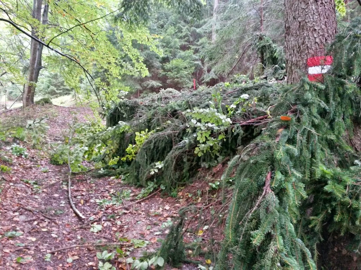 lh6.googleusercontent.com_-b8s5mkksuae_vccyfna2qui_aaaaaaaadwe_ubgkva7kkjq_w1228-h921-no_20140927_114933_richtone_28hdr_29.jpg lh6.googleusercontent.com_-b8s5mkksuae_vccyfna2qui_aaaaaaaadwe_ubgkva7kkjq_w1228-h921-no_20140927_114933_richtone_28hdr_29.jpg