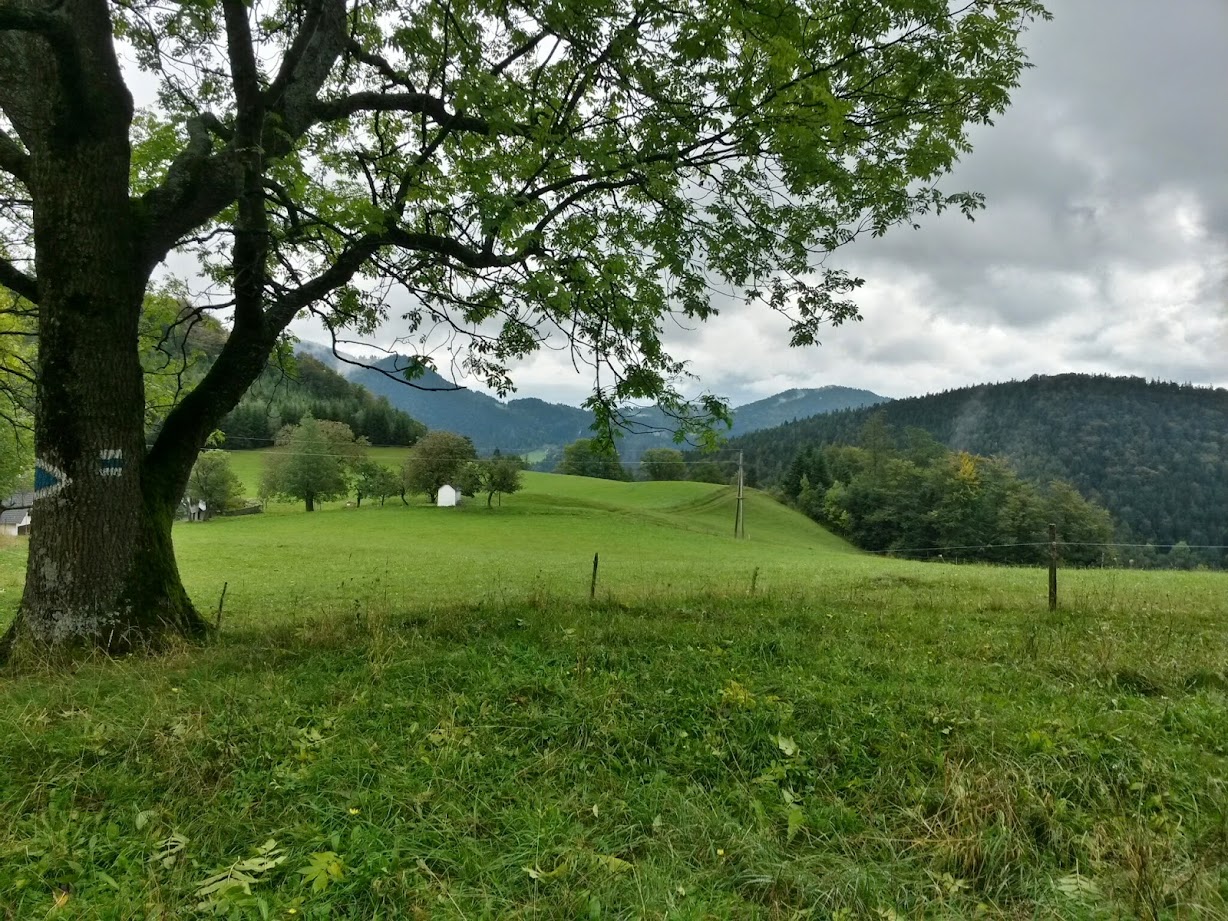 lh6.googleusercontent.com_-ojl3891_cpm_vcczr6brffi_aaaaaaaad00_4zqsqylycms_w1228-h921-no_20140927_134118_richtone_28hdr_29.jpg lh6.googleusercontent.com_-ojl3891_cpm_vcczr6brffi_aaaaaaaad00_4zqsqylycms_w1228-h921-no_20140927_134118_richtone_28hdr_29.jpg