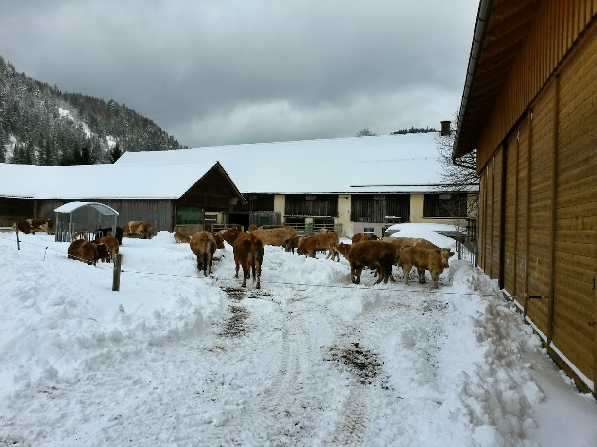 lh4.googleusercontent.com_-miw2fd3uiq4_vkvrd7j9wgi_aaaaaaaagyu_7qxnwuxhvh4_w1228-h921-no_20150106_110515_richtone_28hdr_29.jpg lh4.googleusercontent.com_-miw2fd3uiq4_vkvrd7j9wgi_aaaaaaaagyu_7qxnwuxhvh4_w1228-h921-no_20150106_110515_richtone_28hdr_29.jpg