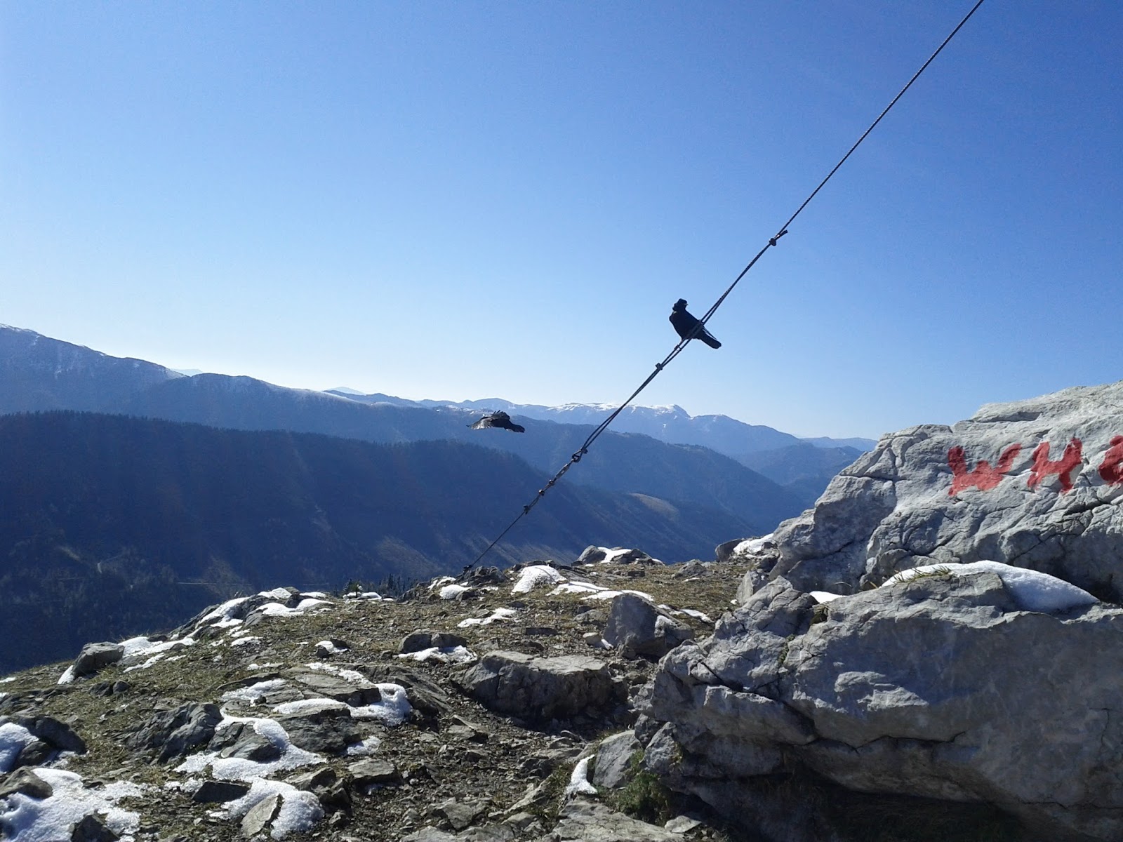 lh4.googleusercontent.com_-mrj3to6m98w_tpniwyh71ji_aaaaaaaabbw_8fqpi7wjvkc_w1600-h1200-no_img_20111015_123515.jpg lh4.googleusercontent.com_-mrj3to6m98w_tpniwyh71ji_aaaaaaaabbw_8fqpi7wjvkc_w1600-h1200-no_img_20111015_123515.jpg