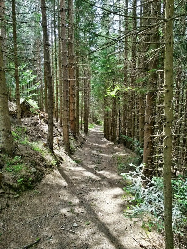 lh6.googleusercontent.com_-eul2pc93jna_u0u8cz8jiqi_aaaaaaaawva_rj-7yx157us_w650-h866-no_20140414_124423_richtone_2528hdr_2529.jpg lh6.googleusercontent.com_-eul2pc93jna_u0u8cz8jiqi_aaaaaaaawva_rj-7yx157us_w650-h866-no_20140414_124423_richtone_2528hdr_2529.jpg