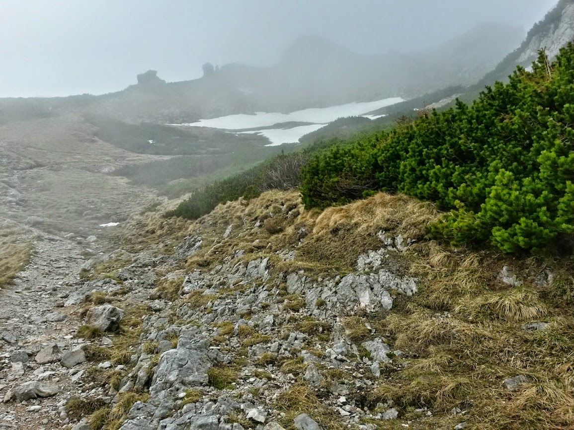 lh6.googleusercontent.com_-kzj7ntub8xs_u2i-xvn8yii_aaaaaaaaxsy_qw1dltvmtsq_w1155-h866-no_20140501_111612_richtone_2528hdr_2529.jpg lh6.googleusercontent.com_-kzj7ntub8xs_u2i-xvn8yii_aaaaaaaaxsy_qw1dltvmtsq_w1155-h866-no_20140501_111612_richtone_2528hdr_2529.jpg