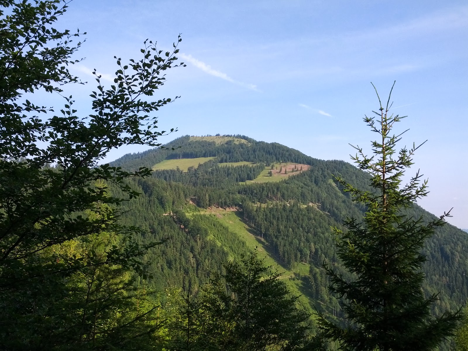 lh5.googleusercontent.com_-6nrlvy6om80_ueqvz2gbcvi_aaaaaaaaoeu_gqs9kd0cqoa_w1600-h1200-no_img_20130720_082051.jpg lh5.googleusercontent.com_-6nrlvy6om80_ueqvz2gbcvi_aaaaaaaaoeu_gqs9kd0cqoa_w1600-h1200-no_img_20130720_082051.jpg