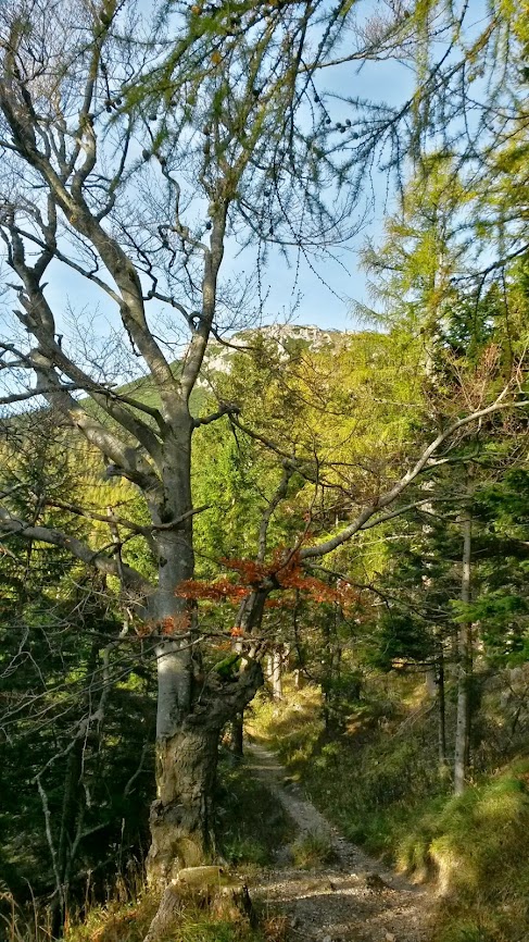 lh6.googleusercontent.com_-276unbvqy5m_umkt6fy1xzi_aaaaaaaaria_fany7ce1pjm_w487-h866-no_20131019_091633_richtone_2528hdr_2529.jpg lh6.googleusercontent.com_-276unbvqy5m_umkt6fy1xzi_aaaaaaaaria_fany7ce1pjm_w487-h866-no_20131019_091633_richtone_2528hdr_2529.jpg