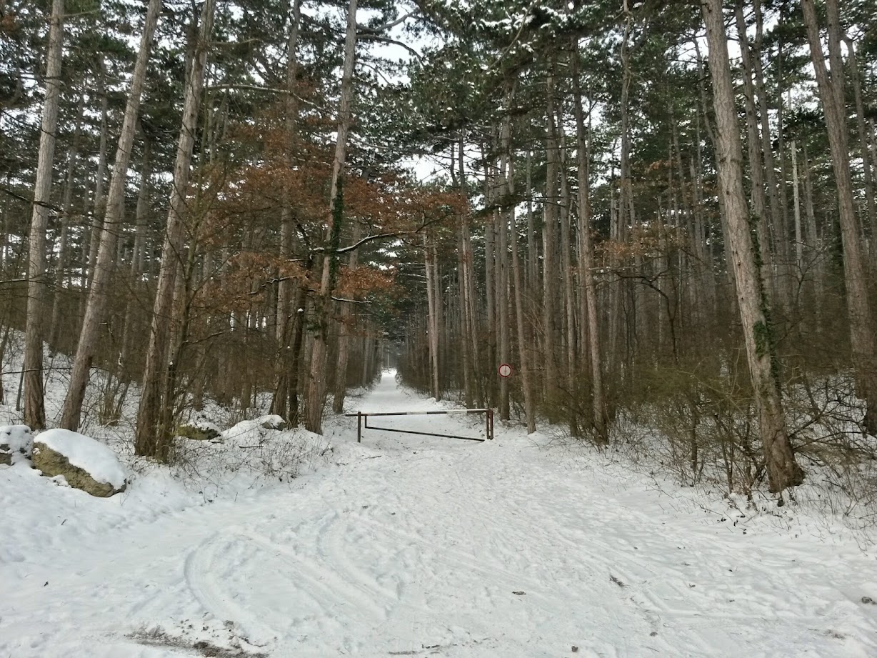 lh4.googleusercontent.com_-1byo1wbvuvk_vkqt8fuy_li_aaaaaaaagiy_bcln4rj3uhm_w1228-h921-no_20141231_094115_richtone_28hdr_29.jpg lh4.googleusercontent.com_-1byo1wbvuvk_vkqt8fuy_li_aaaaaaaagiy_bcln4rj3uhm_w1228-h921-no_20141231_094115_richtone_28hdr_29.jpg