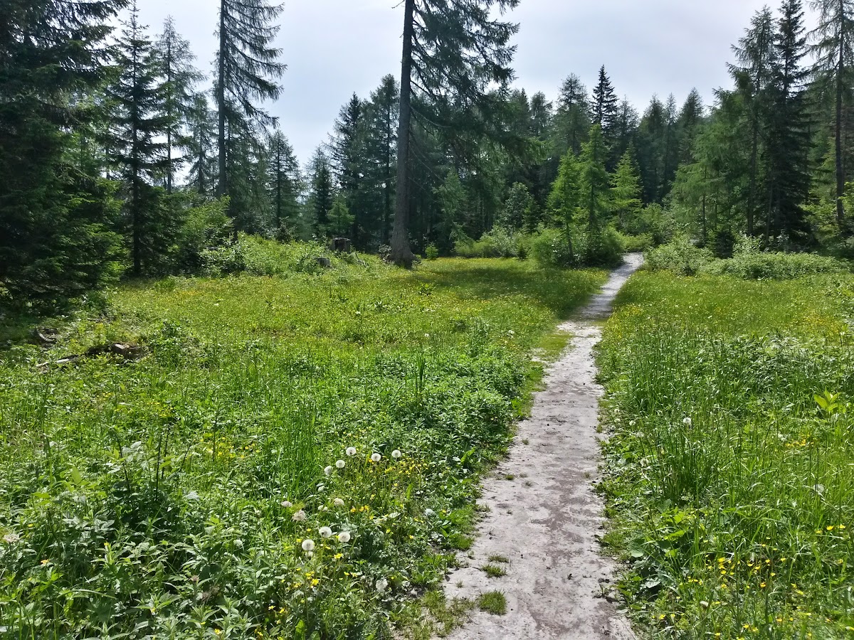 lh5.googleusercontent.com_-t6yzv7q2s8a_vyk9kg0994i_aaaaaaaakhu_knt1yki4atg_w1200-h900-no_20150618_102047_richtone_2528hdr_2529.jpg lh5.googleusercontent.com_-t6yzv7q2s8a_vyk9kg0994i_aaaaaaaakhu_knt1yki4atg_w1200-h900-no_20150618_102047_richtone_2528hdr_2529.jpg