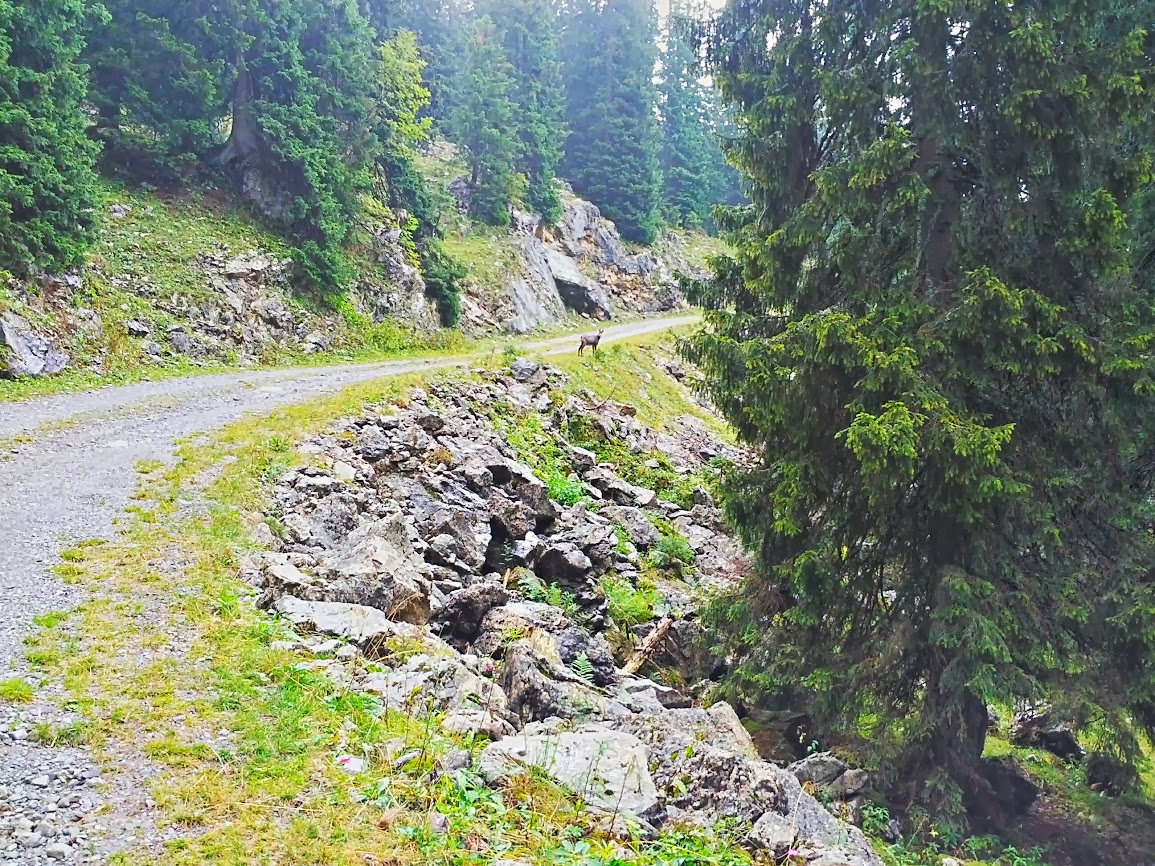 lh5.googleusercontent.com_-qrkwu-5d3e8_ujswaqg6-4i_aaaaaaaaqsy_kzalaelcptq_w1155-h866-no_2013-09-14_10-54-39_hdr.jpg lh5.googleusercontent.com_-qrkwu-5d3e8_ujswaqg6-4i_aaaaaaaaqsy_kzalaelcptq_w1155-h866-no_2013-09-14_10-54-39_hdr.jpg