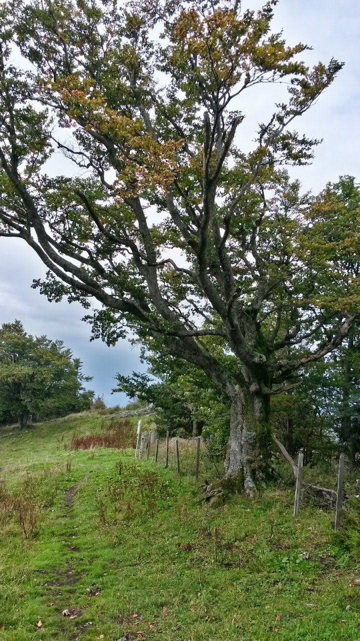 lh4.googleusercontent.com_-urqw0xsscoe_ukglnlkziti_aaaaaaaaqvm_3lljztptxhk_w720-h1280-no_20130929_113044_richtone_2528hdr_2529.jpg lh4.googleusercontent.com_-urqw0xsscoe_ukglnlkziti_aaaaaaaaqvm_3lljztptxhk_w720-h1280-no_20130929_113044_richtone_2528hdr_2529.jpg