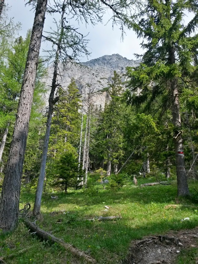 lh6.googleusercontent.com_-s32lu_lrzay_u4hjrwdh3ai_aaaaaaaaywm_r3g4alliakw_w650-h866-no_20140525_092154_richtone_2528hdr_2529.jpg lh6.googleusercontent.com_-s32lu_lrzay_u4hjrwdh3ai_aaaaaaaaywm_r3g4alliakw_w650-h866-no_20140525_092154_richtone_2528hdr_2529.jpg