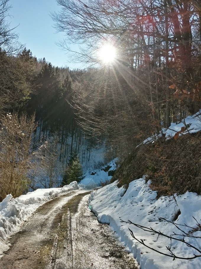 lh4.googleusercontent.com_-otzgnxtk6ku_voii_wynini_aaaaaaaahie_rpin0rfpom4_w680-h907-no_20150221_135312_richtone_28hdr_29.jpg lh4.googleusercontent.com_-otzgnxtk6ku_voii_wynini_aaaaaaaahie_rpin0rfpom4_w680-h907-no_20150221_135312_richtone_28hdr_29.jpg