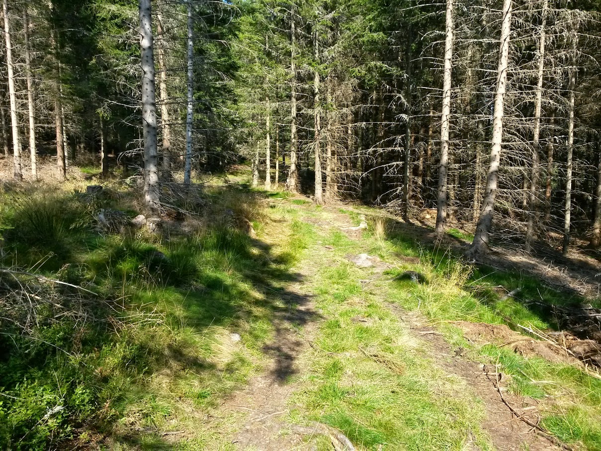 lh4.googleusercontent.com_-lpxoqzhdq_m_vfrani9mqwi_aaaaaaaan0q_wk60u7t9dfu_w1209-h907-no_20150912_151258_richtone_2528hdr_2529.jpg lh4.googleusercontent.com_-lpxoqzhdq_m_vfrani9mqwi_aaaaaaaan0q_wk60u7t9dfu_w1209-h907-no_20150912_151258_richtone_2528hdr_2529.jpg