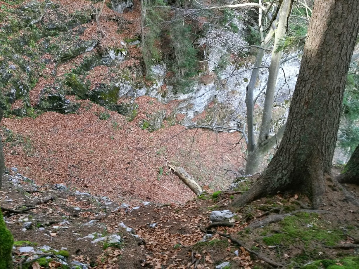 lh3.googleusercontent.com_-eihqmy-bsqk_vgdsunxtnti_aaaaaaaae6a_x5kom9bxqfi_w1228-h921-no_20141115_111352_richtone_28hdr_29.jpg lh3.googleusercontent.com_-eihqmy-bsqk_vgdsunxtnti_aaaaaaaae6a_x5kom9bxqfi_w1228-h921-no_20141115_111352_richtone_28hdr_29.jpg