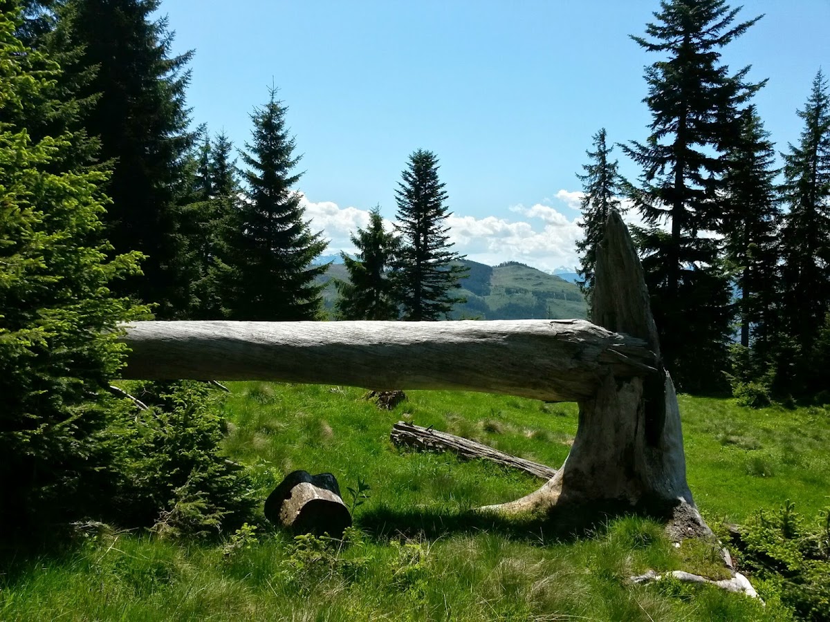 lh3.googleusercontent.com_-ivvnzf0tjce_u5m9q8q2c6i_aaaaaaaay94_2jq3hz684xg_w1200-h900-no_20140607_120100_richtone_2528hdr_2529.jpg lh3.googleusercontent.com_-ivvnzf0tjce_u5m9q8q2c6i_aaaaaaaay94_2jq3hz684xg_w1200-h900-no_20140607_120100_richtone_2528hdr_2529.jpg