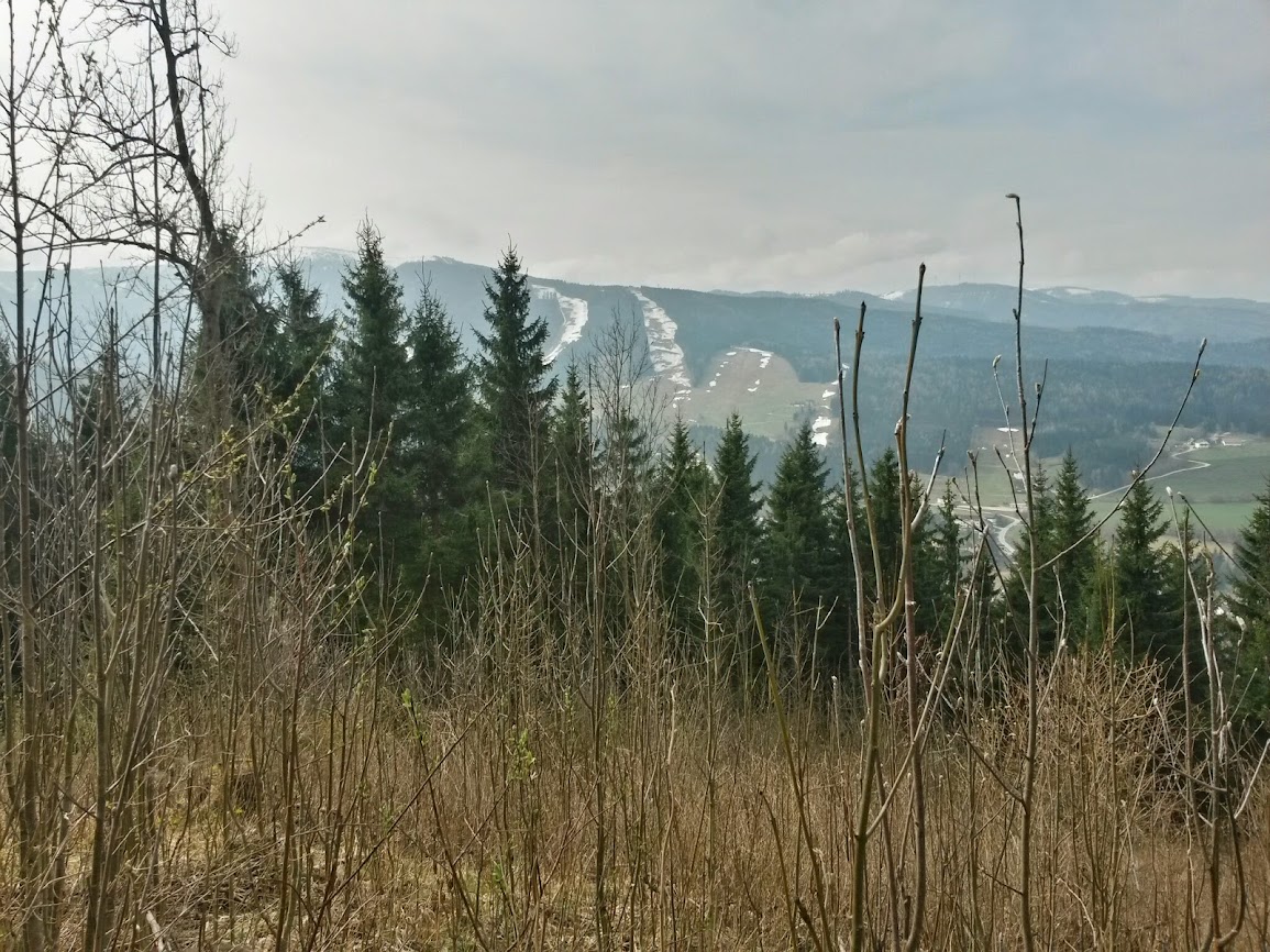 lh3.googleusercontent.com_-ysenib0qlju_uz-vjbr039i_aaaaaaaawnk_hsjjvyr4nne_w1155-h866-no_20140405_092105_richtone_2528hdr_2529.jpg lh3.googleusercontent.com_-ysenib0qlju_uz-vjbr039i_aaaaaaaawnk_hsjjvyr4nne_w1155-h866-no_20140405_092105_richtone_2528hdr_2529.jpg