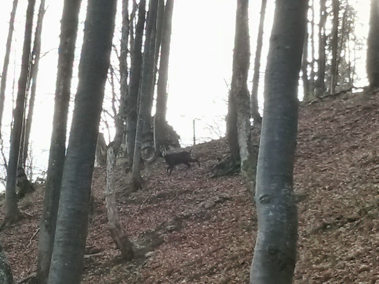 lh3.googleusercontent.com_-ked315ke_5k_vgds5v4inai_aaaaaaaae7i_ltradxtg0_s_w1228-h921-no_20141115_111802_richtone_28hdr_29.jpg lh3.googleusercontent.com_-ked315ke_5k_vgds5v4inai_aaaaaaaae7i_ltradxtg0_s_w1228-h921-no_20141115_111802_richtone_28hdr_29.jpg