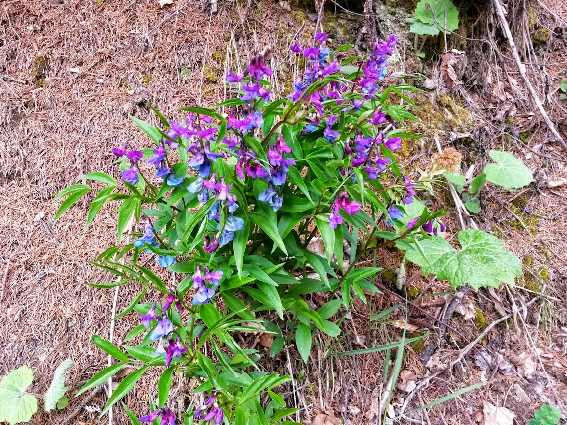 lh6.googleusercontent.com_-udl_zb6pg74_u0u8gwpqwvi_aaaaaaaawvm_ltdmjgsz4uu_w1155-h866-no_20140414_122910.jpg lh6.googleusercontent.com_-udl_zb6pg74_u0u8gwpqwvi_aaaaaaaawvm_ltdmjgsz4uu_w1155-h866-no_20140414_122910.jpg